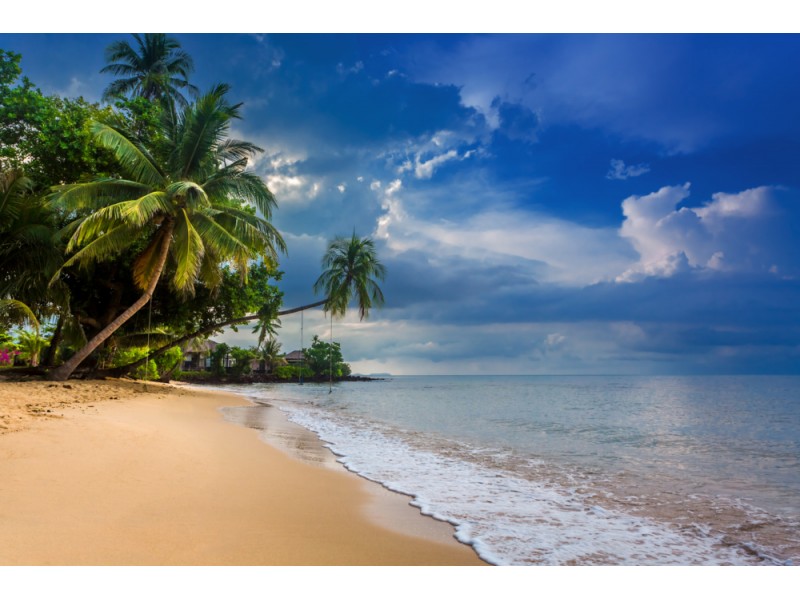 Fototapet Palmer och strandhus på den tropiska stranden
