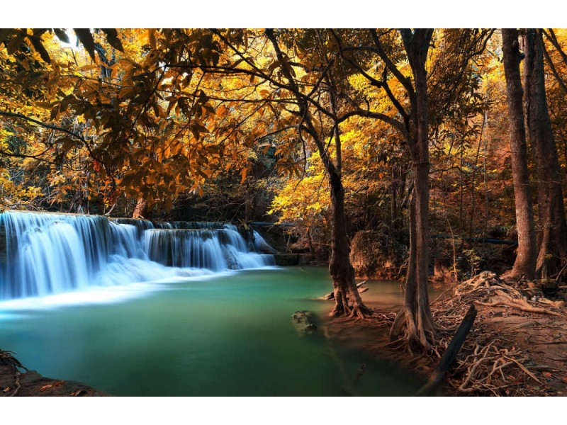Fototapet Deep Autumn Forest Waterfall