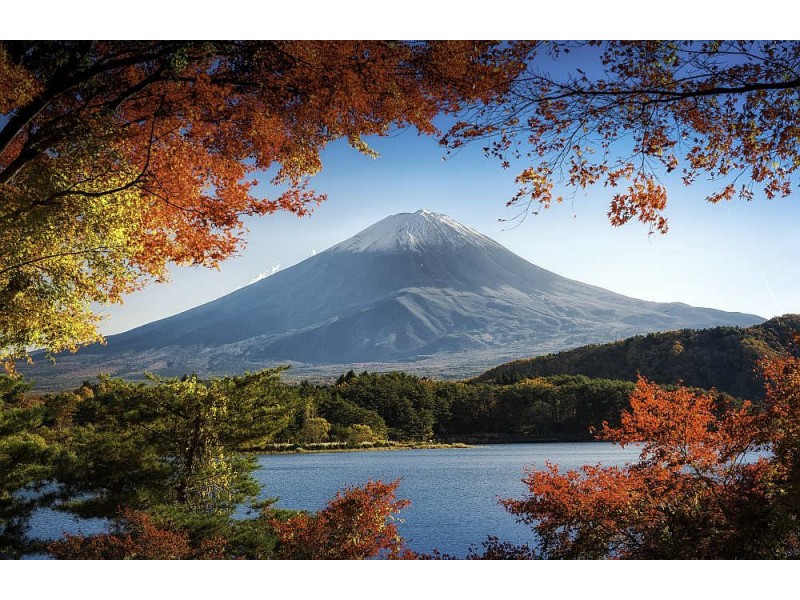 Fototapet Fuji In Autumn