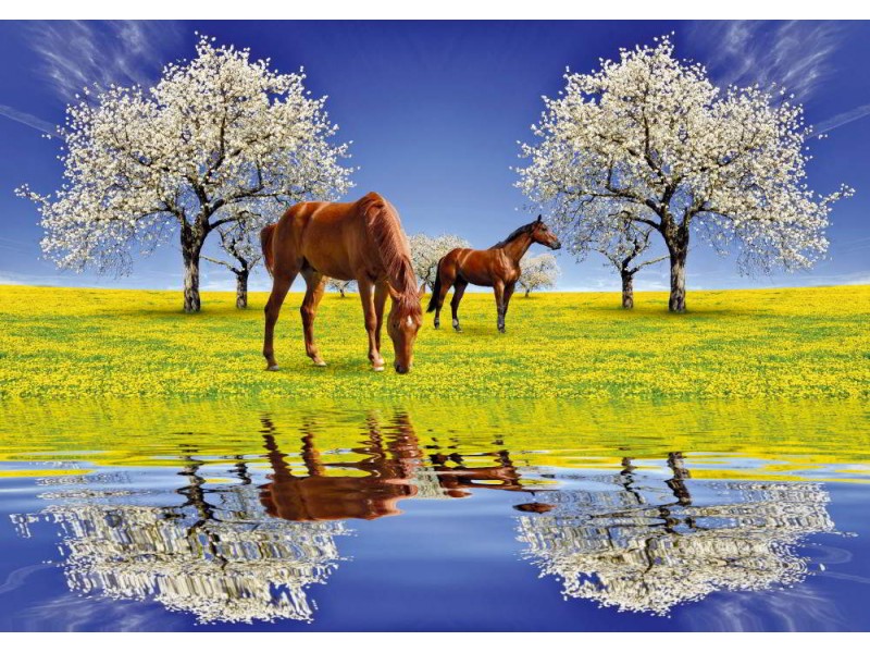 Fototapet hästar och blommande körsbärsträd (18895012)